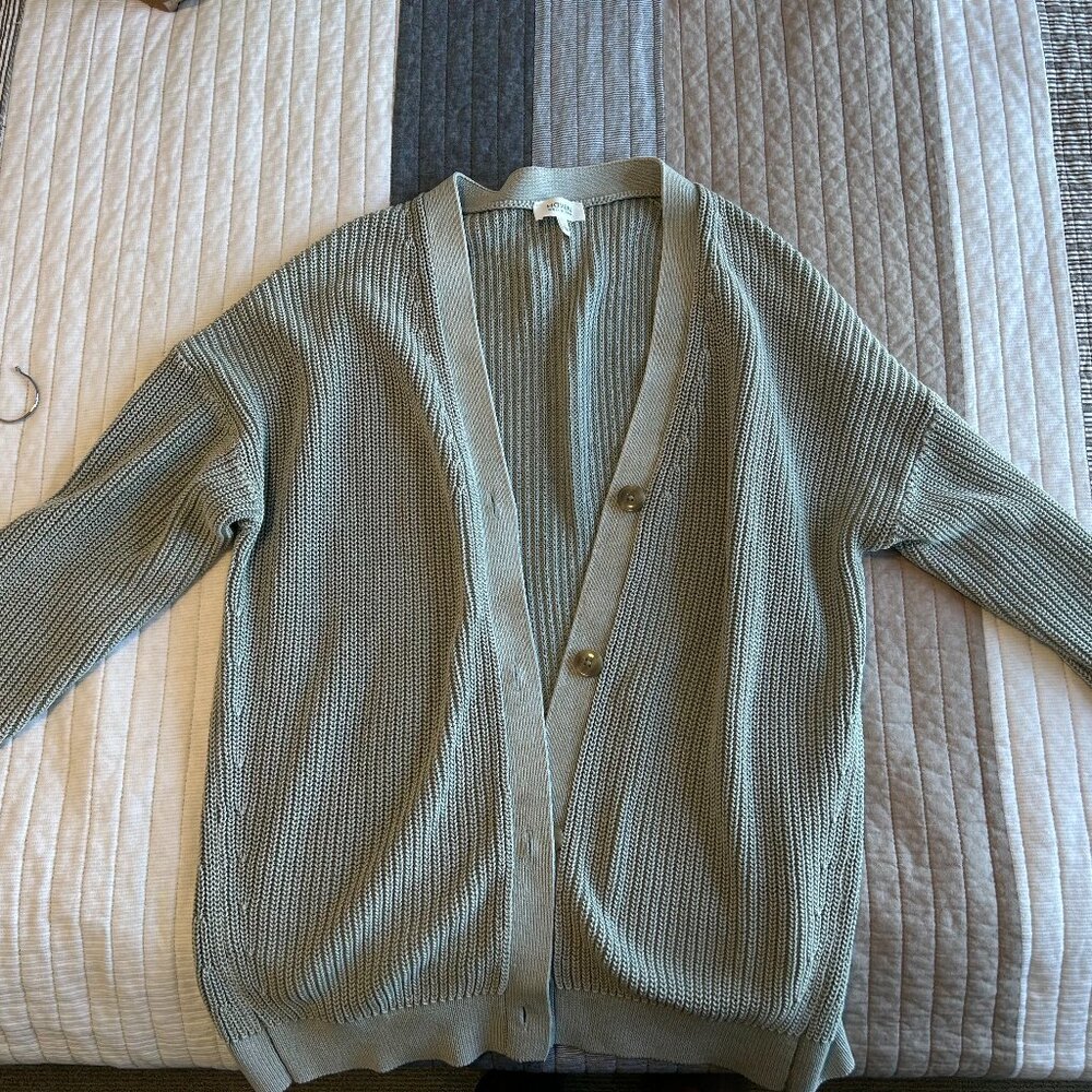 Haven (Talbots) light green cardigan